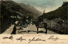 France - Folklore - Paysannes de Pyrenées