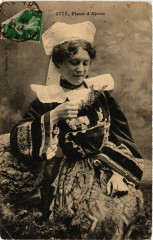 Folklore - Bretagne - Fleur d'Ajone