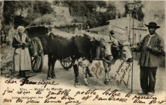Folklore - Auvergne - Retour du Marché