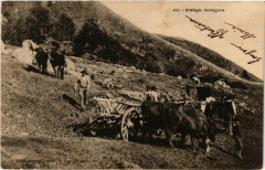 Folklore - Auvergne - Attelages Auvergnats