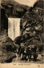 Folklore - Auvergne - Attelage Auvergnat
