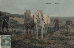 Agriculture Scene De Labour