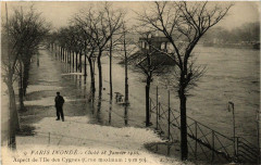 Carte postale ancienne Paris Inondé - Cliché 28 Janvier 1910 - Aspect de l'Ile des Cygnes
                                                                     à Paris 15e
                                