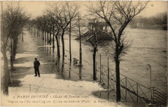 Carte postale ancienne Paris Inondé - Cliché 28 Janvier 1910 - Aspect de l'Ile des Cygnes
                                                                     à Paris 15e
                                