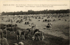 Carte postale ancienne Bois de Boulogne - Bétail sur le Terrain de Bagatelle pour l'approvisionnement de Paris
                                                                     à Paris 16e
                                