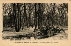 Carte postale ancienne Le Bois de Boulogne en Automne - Chute de la Mare aux Biches
                                                                     à Paris 16e
                                