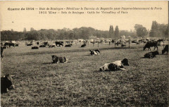 Carte postale ancienne Bois de Boulogne - Bétail sur le Terrain de Bagatelle pour l'approvisionnement de Paris
                                                                     à Paris 16e
                                