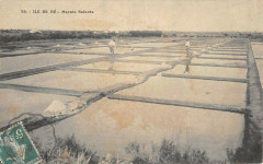Ile De Re Marais Salants -
													17 Charente Maritime
												