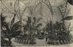 Pau Le Palais d'hiver, Le Palmarium France à Pau