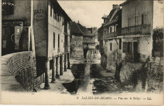 Salies-de-Bearn Vue sur le Saleys