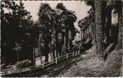 Pau La Palmeraie -
																					64000 Pau
																			
