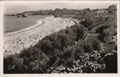 Biarritz La Plage Fleurie d'Hortensias à Biarritz