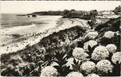 Biarritz Les Hortensias et la Grande Plage à Biarritz
