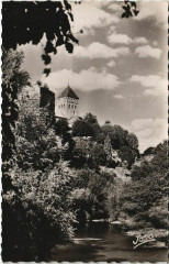 Sauveterre de Bearn Le Donjon de Febus France