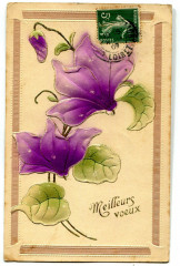 Fantaisie holiday best wishes flowers relief card