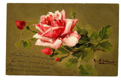 Fantaisie card pink flowers relief illustration C. klein fantasy postcard