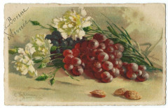 Fantaisie bonne année grapes and flower illustration C. klein fantasy postcard