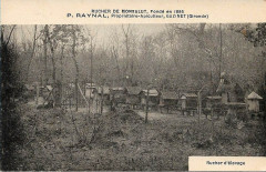 Gazinet - Rucherie de Monsalut 5