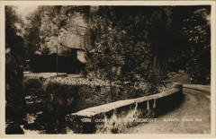 Gorges d'Entremont - Arrivee dans les Gorges