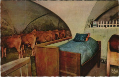 Interieur de Haute-Montagne - L'Hiver