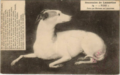 Souvenirs de Lamartine - Fido - Peint par Madame de Lamartine -
													73 Savoie
												