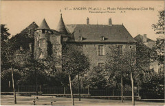 Angers Musee Paleonthologique France à Angers