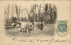 Les Boeufs France