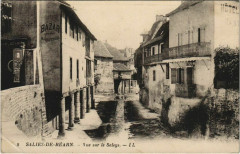 Salies de Bearn Vue sur le Saleys France