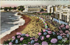 Biarritz Les Hortensias, La Grande Plage France à Biarritz