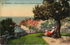 Biarritz Sous les Tamaris de la Cote des Basques France à Biarritz