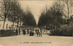 Angers Avenue Jeanne d'Arc France à Angers
