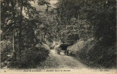 Foret de Gueret - Ancienne Route de Savenne
