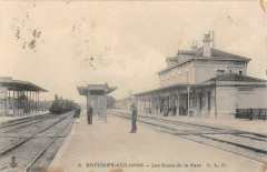 Bretigny Sur Orge Les Quais De La Gare (Train à Igny