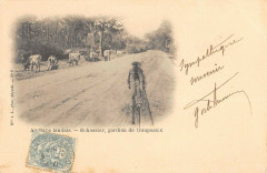 Landes Au Pays Landais Echassier Gardien De Troupeaux