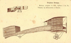 Aviation Avion Triplan Goupy