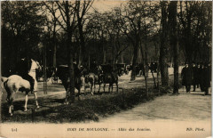 Bois de Boulogne - Allée de Acacias à Paris 16e