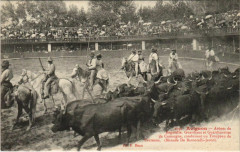 Avignon Arenes de Bagatelle Taureaux à Avignon