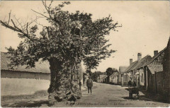 Verton Gros Arbre à Verton