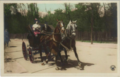 Paris 16e Bois de Boulogne