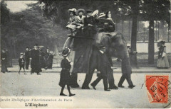Jardin Zoologique d'Acclimatation de Paris - L'Eléphant à Neuilly-sur-Seine