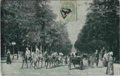 Bois de Boulogne - Allée des Accacias à Paris 16e