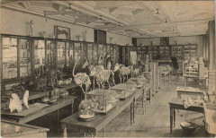 Paris 5e La Sorbonne salle des collections d'Anatomie -
																					75005 Paris 5e
																			