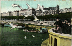 Lyon Les Mouettes au Pont Lafayette à Lyon