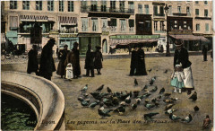 Lyon Les pigeons sur la Place des Terreaux à Lyon