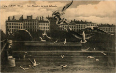 Lyon l'Hiver Les Mouettes au Pont Lafayette -
																					69000 Lyon
																			