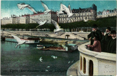 Lyon Les Mouettes au Pont Lafayette à Lyon