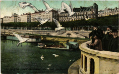 Lyon Les Mouettes au Pont Lafayette à Lyon