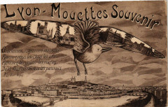 Lyon Mouettes Souvenir à Lyon
