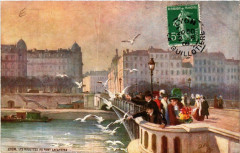 Lyon Les Mouettes au Pont Lafayette à Lyon