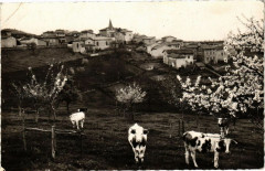 Brussieu-Vue générale à Brussieu